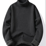 Ludger | Wärmender Rollkragen-Pullover